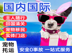 观音空运代理国际宠物托运 【国